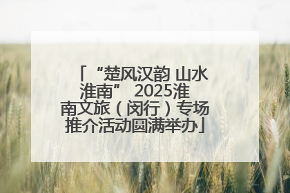 “楚风汉韵 山水淮南” 2025淮南文旅（闵行）专场推介活动圆满举办
