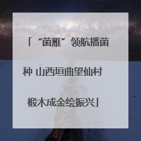 “菌雁”领航播菌种 山西垣曲望仙村椴木成金绘振兴
