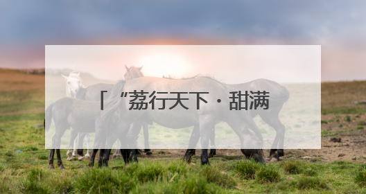 “荔行天下・甜满金陵”灵山荔枝品牌交流活动在宁举行