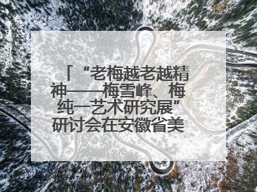 “老梅越老越精神——梅雪峰、梅纯一艺术研究展”研讨会在安徽省美术馆召开