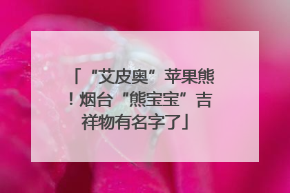 “艾皮奥”苹果熊！烟台“熊宝宝”吉祥物有名字了