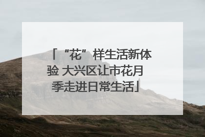 “花”样生活新体验 大兴区让市花月季走进日常生活