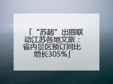 “苏超”出圈联动江苏各地文旅：省内景区预订同比增长305%