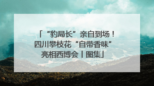 “豹局长”亲自到场！四川攀枝花“自带香味”亮相西博会丨图集