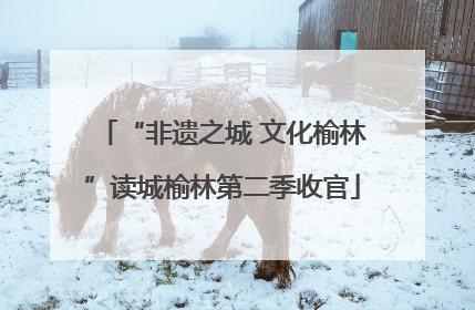 “非遗之城 文化榆林”读城榆林第二季收官