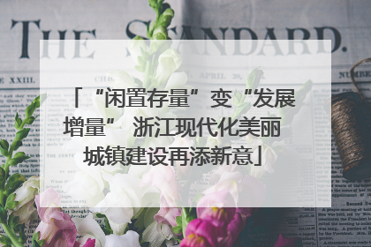 “闲置存量”变“发展增量” 浙江现代化美丽城镇建设再添新意