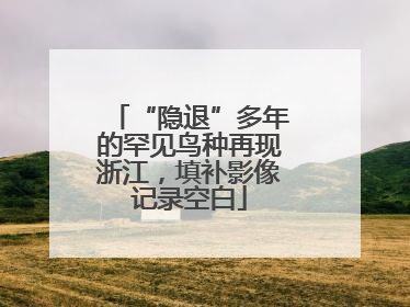 “隐退”多年的罕见鸟种再现浙江，填补影像记录空白