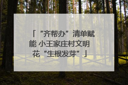 “齐帮办”清单赋能 小王家庄村文明花“生根发芽”