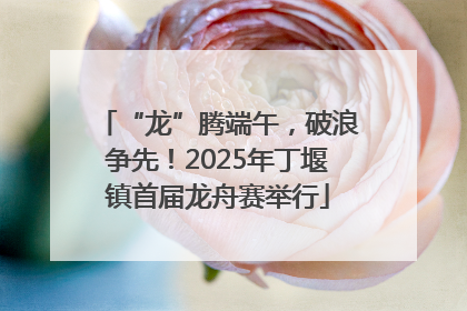 “龙”腾端午，破浪争先！2025年丁堰镇首届龙舟赛举行