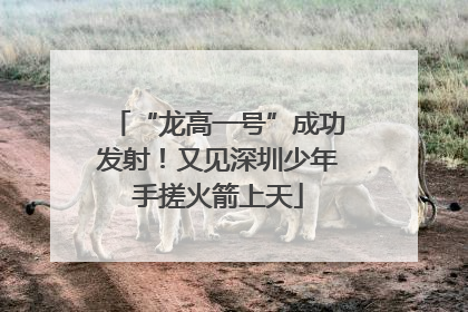“龙高一号”成功发射！又见深圳少年手搓火箭上天
