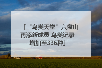 “鸟类天堂”六盘山再添新成员 鸟类记录增加至336种