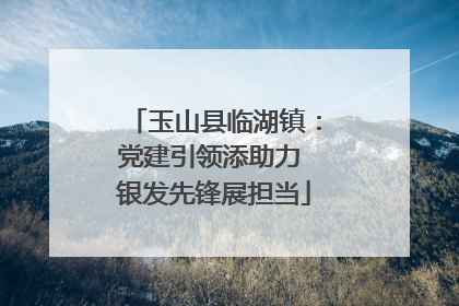 玉山县临湖镇：党建引领添助力 银发先锋展担当