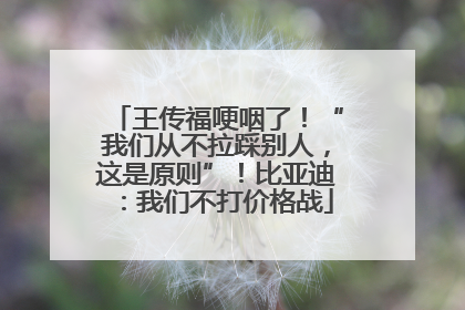王传福哽咽了！“我们从不拉踩别人，这是原则”！比亚迪：我们不打价格战