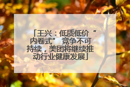 王兴：低质低价“内卷式” 竞争不可持续，美团将继续推动行业健康发展