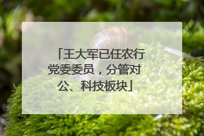 王大军已任农行党委委员，分管对公、科技板块