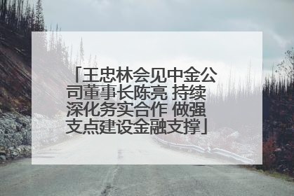 王忠林会见中金公司董事长陈亮 持续深化务实合作 做强支点建设金融支撑