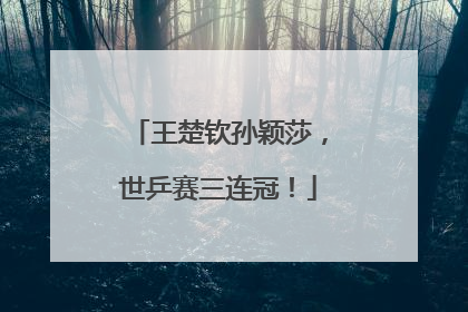 王楚钦孙颖莎，世乒赛三连冠！