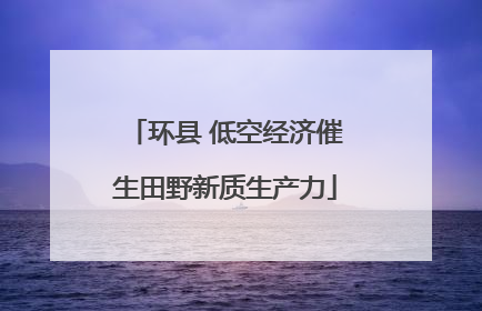 环县 低空经济催生田野新质生产力