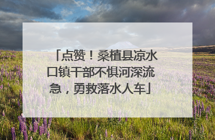 点赞！桑植县凉水口镇干部不惧河深流急，勇救落水人车