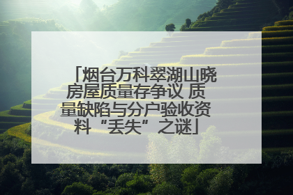 烟台万科翠湖山晓房屋质量存争议 质量缺陷与分户验收资料“丢失”之谜