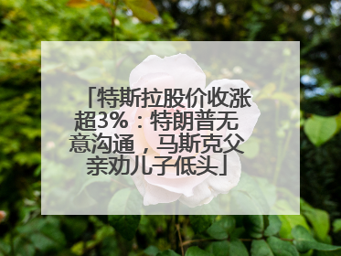 特斯拉股价收涨超3%：特朗普无意沟通，马斯克父亲劝儿子低头