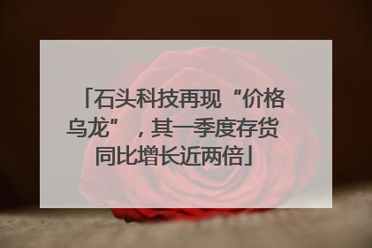 石头科技再现“价格乌龙”，其一季度存货同比增长近两倍