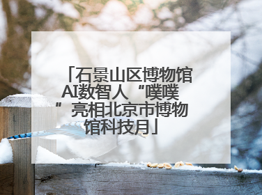 石景山区博物馆AI数智人“噗噗”亮相北京市博物馆科技月