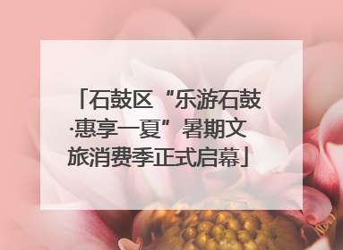石鼓区“乐游石鼓·惠享一夏”暑期文旅消费季正式启幕