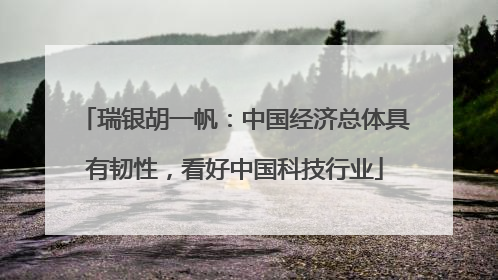瑞银胡一帆：中国经济总体具有韧性，看好中国科技行业