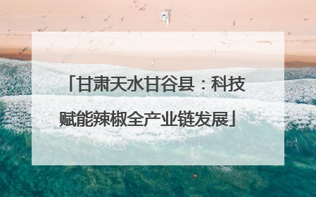 甘肃天水甘谷县：科技赋能辣椒全产业链发展