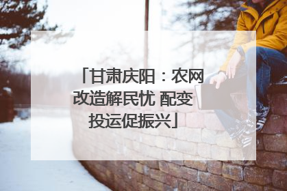 甘肃庆阳：农网改造解民忧 配变投运促振兴