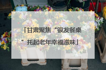 甘肃聚焦“银发餐桌”托起老年幸福滋味