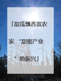 甜瓜飘香富农家 “甜蜜产业”助振兴