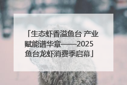 生态虾香溢鱼台 产业赋能谱华章——2025鱼台龙虾消费季启幕