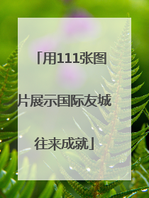 用111张图片展示国际友城往来成就