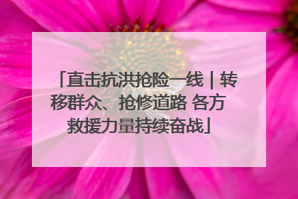 直击抗洪抢险一线｜转移群众、抢修道路 各方救援力量持续奋战