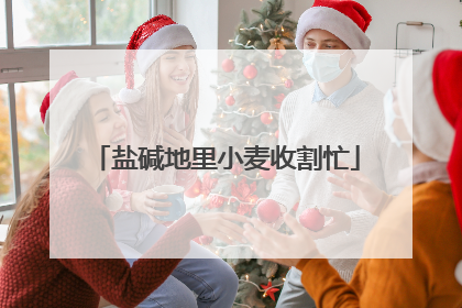 盐碱地里小麦收割忙