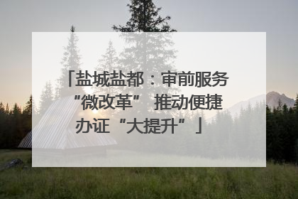 盐城盐都：审前服务“微改革” 推动便捷办证“大提升”