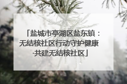 盐城市亭湖区盐东镇：无结核社区行动守护健康 ·共建无结核社区