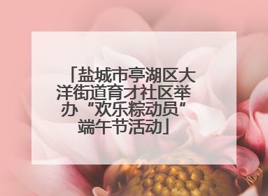 盐城市亭湖区大洋街道育才社区举办“欢乐粽动员”端午节活动