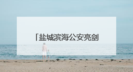 盐城滨海公安亮剑“盐靖”Ⅱ号行动
