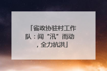 省政协驻村工作队：闻“汛”而动，全力抗洪