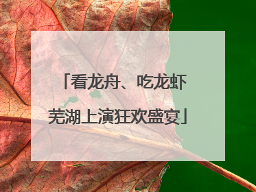 看龙舟、吃龙虾 芜湖上演狂欢盛宴