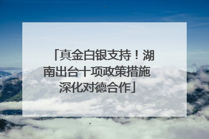 真金白银支持！湖南出台十项政策措施深化对德合作