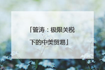 管涛：极限关税下的中美贸易