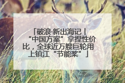 破浪·新出海记丨 “中国方案”拿捏性价比，全球近万艘巨轮用上镇江“节能桨”