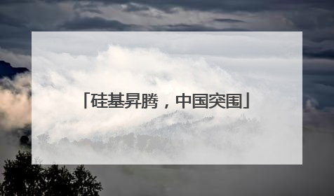 硅基昇腾，中国突围