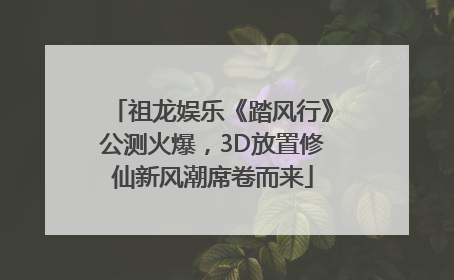 祖龙娱乐《踏风行》公测火爆，3D放置修仙新风潮席卷而来