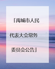 禹城市人民代表大会常务委员会公告