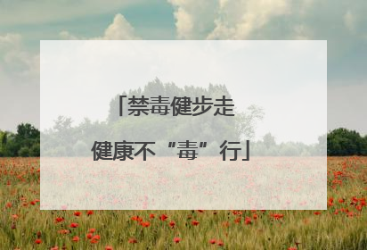 禁毒健步走  健康不“毒”行